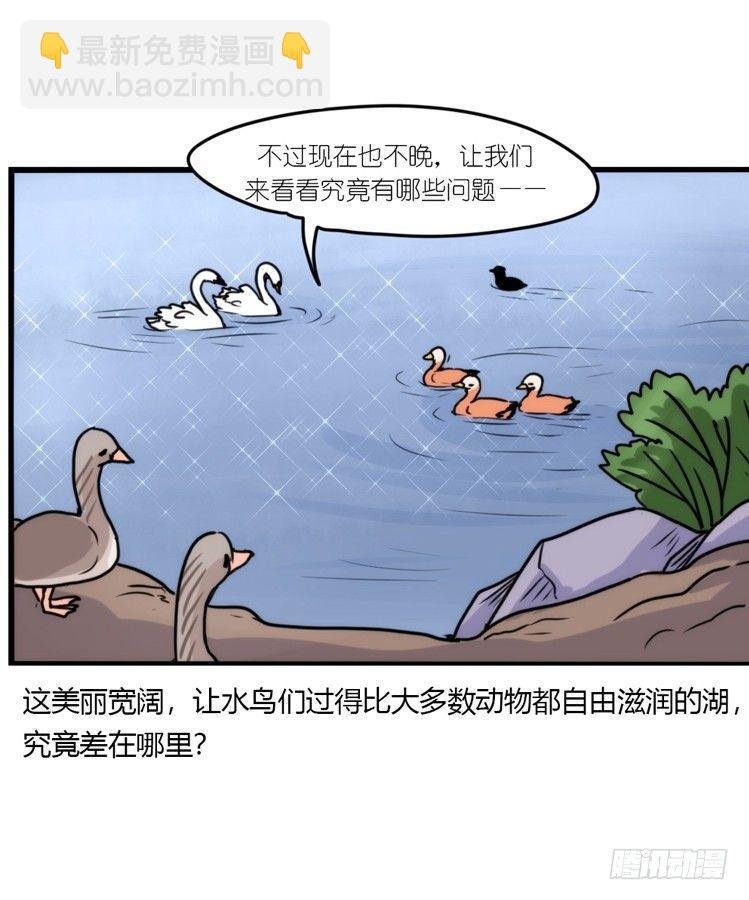 动协在行动18：拯救单身鸟