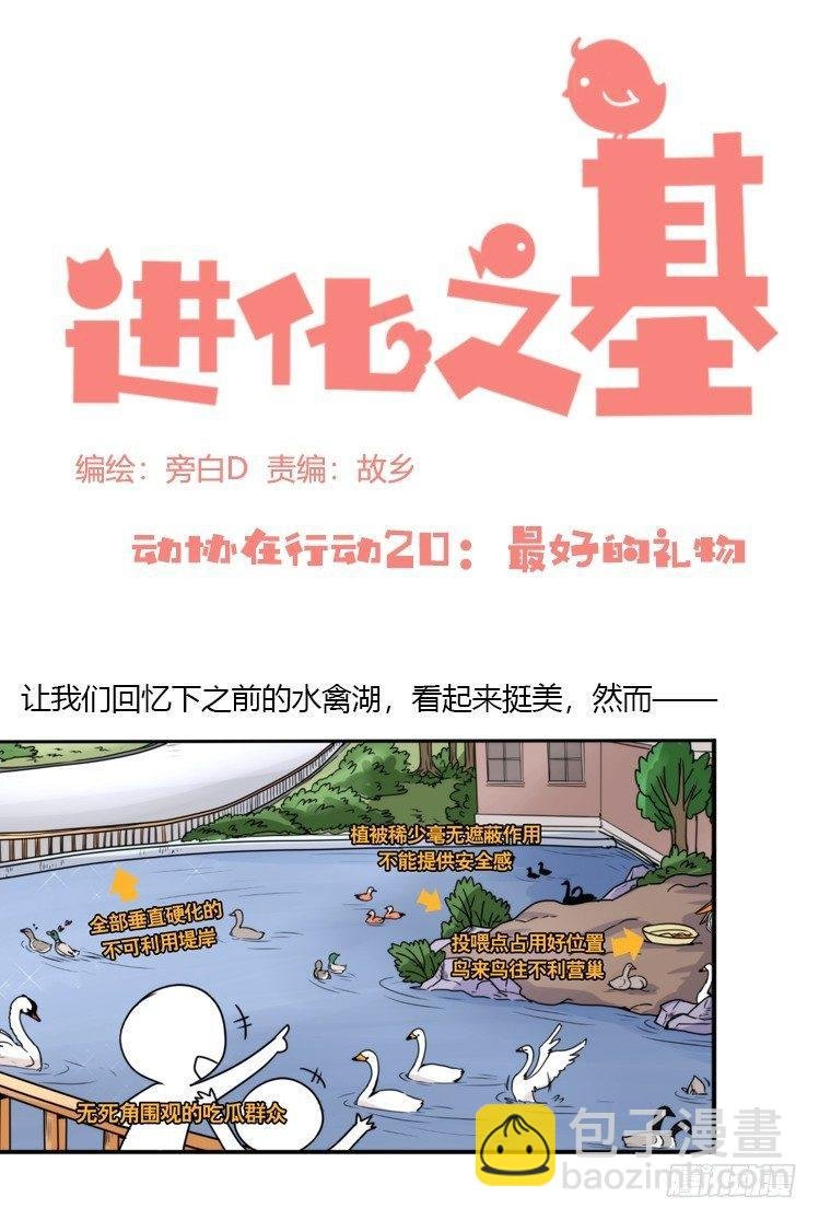 动协在行动20：最好的礼物