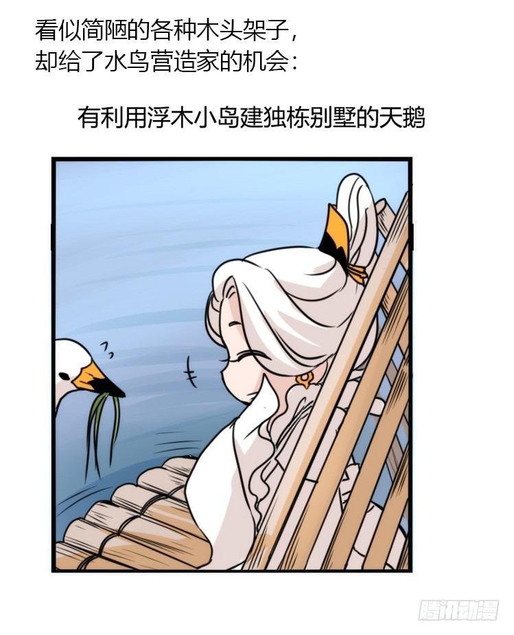 动协在行动20：最好的礼物