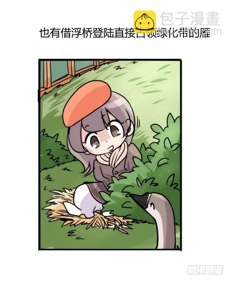 动协在行动20：最好的礼物