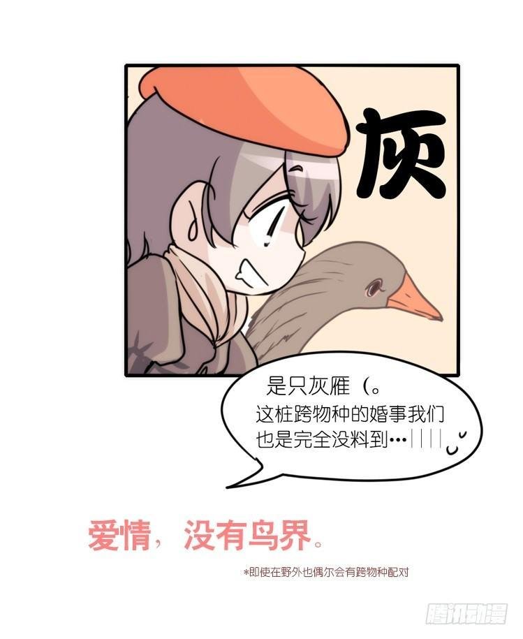 动协在行动20：最好的礼物