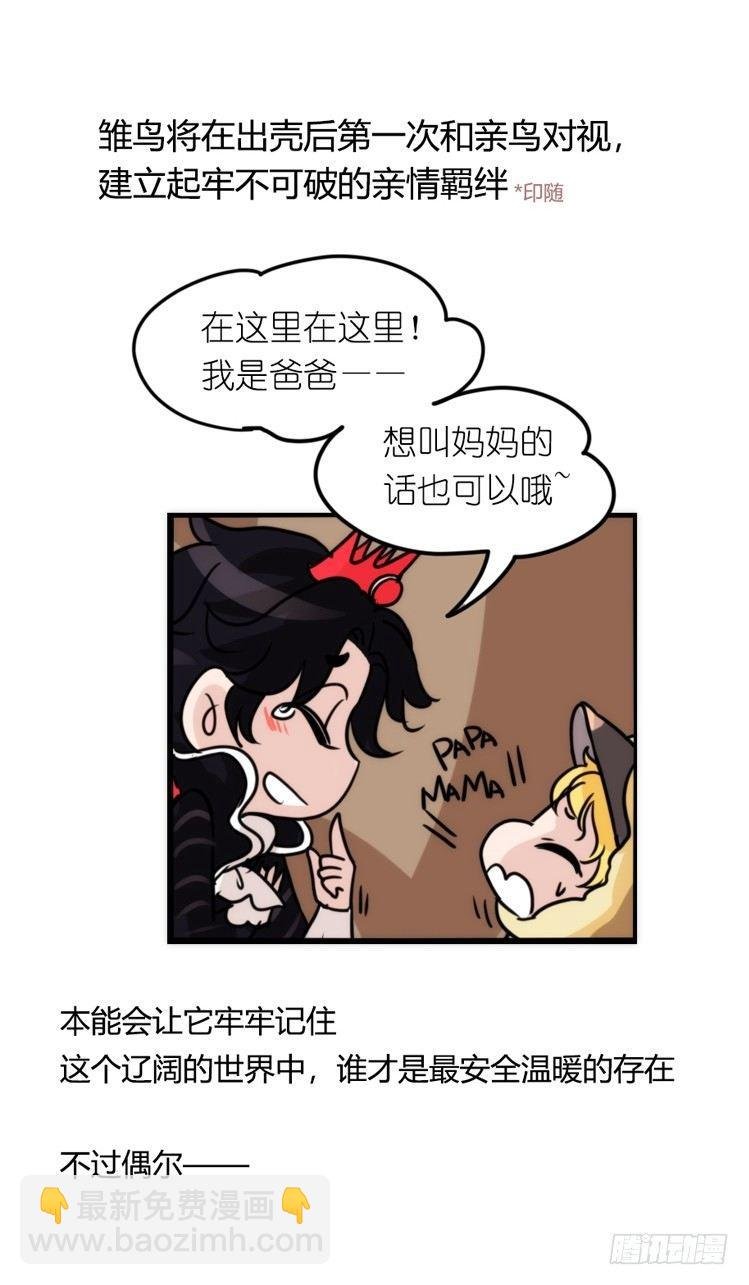 动协在行动21：毛绒绒战争