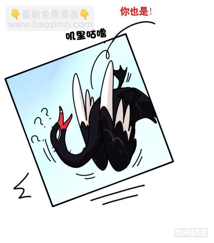 动协在行动21：毛绒绒战争