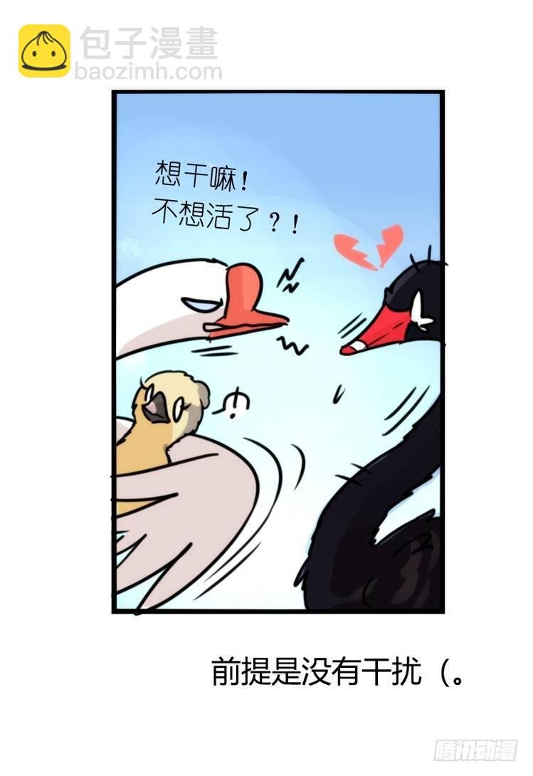 动协在行动21：毛绒绒战争