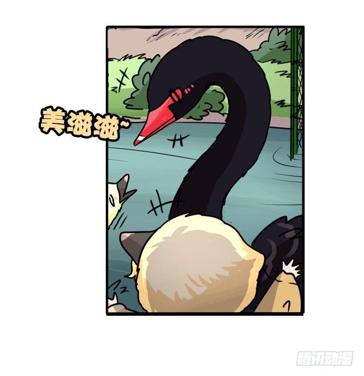 动协在行动21：毛绒绒战争