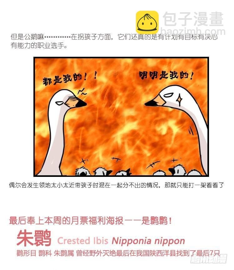 动协在行动21：毛绒绒战争