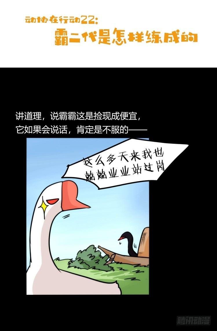 动协在行动22：霸二代是怎样炼成
