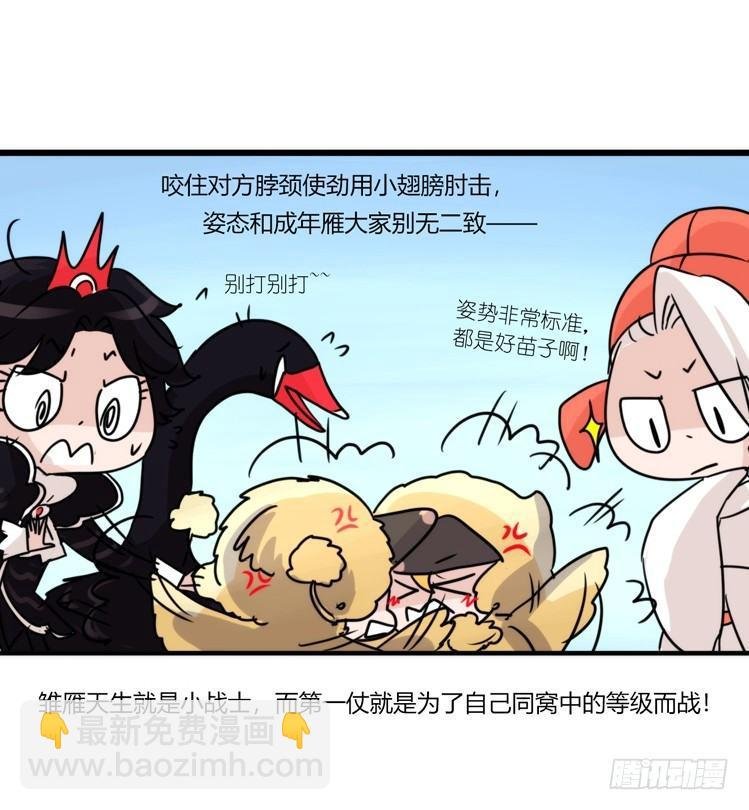 动协在行动22：霸二代是怎样炼成