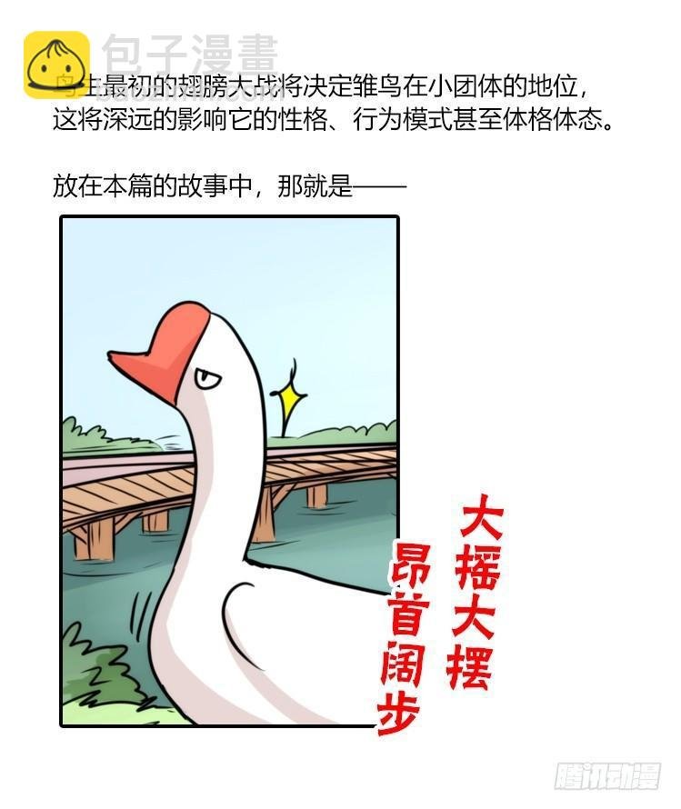 动协在行动22：霸二代是怎样炼成
