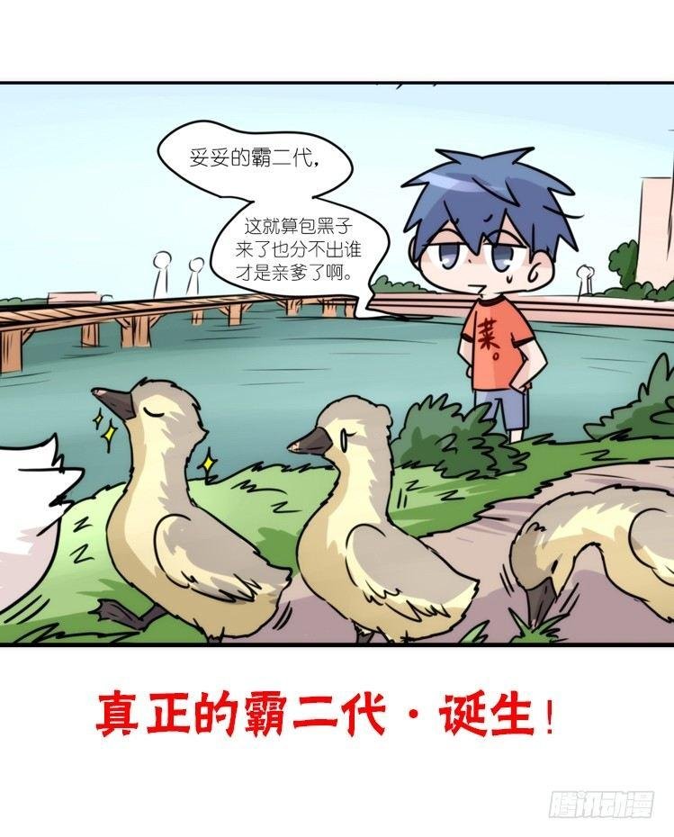 动协在行动22：霸二代是怎样炼成