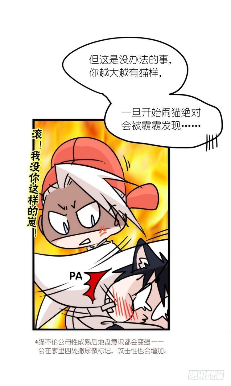 动协在行动23：搞个大新闻！