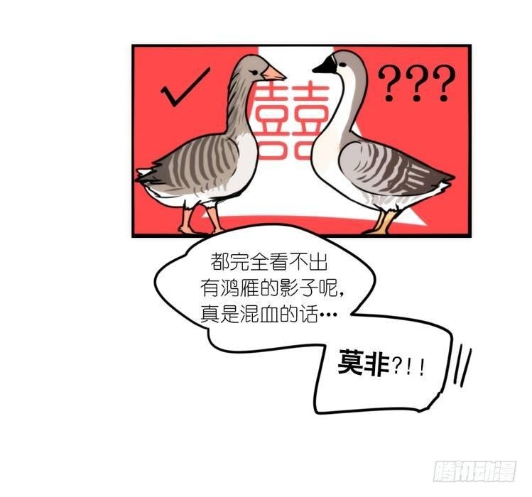 动协在行动23：搞个大新闻！