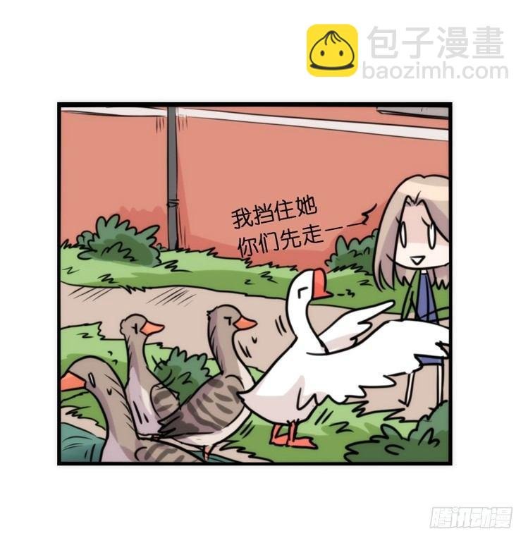 动协在行动24：失踪