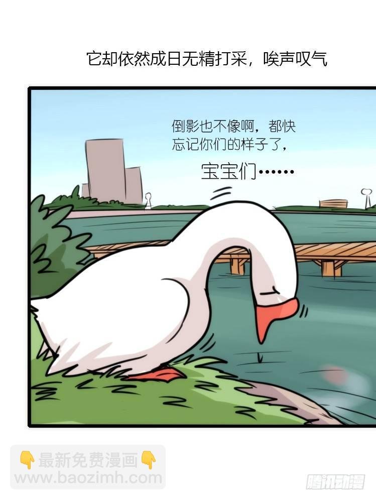 动协在行动24：失踪