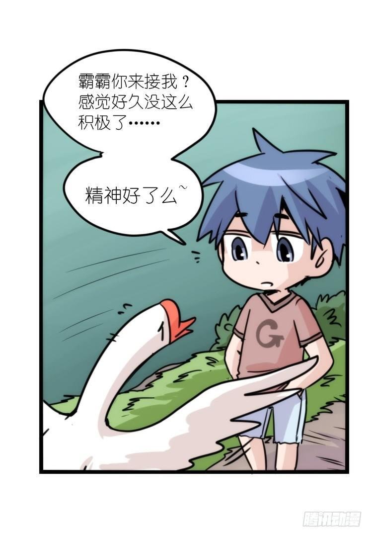 动协在行动24：失踪