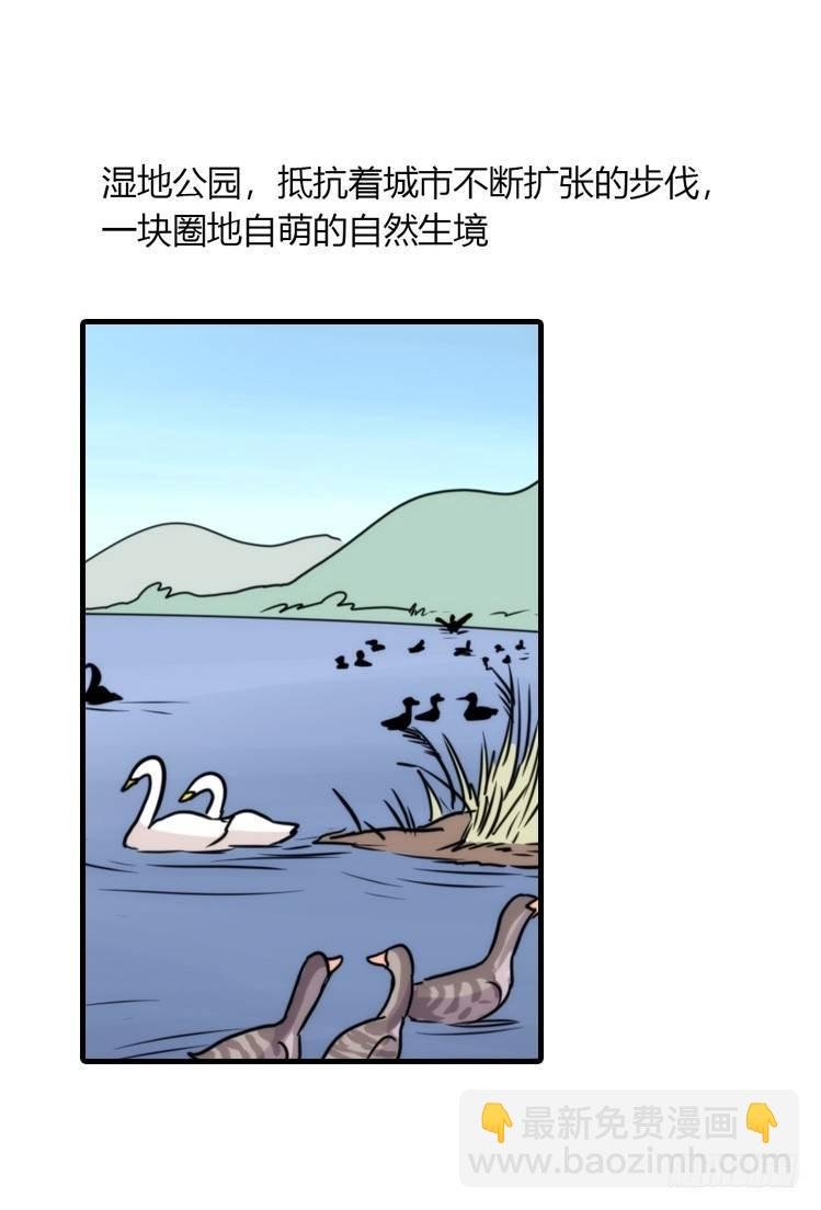 动协在行动24：失踪