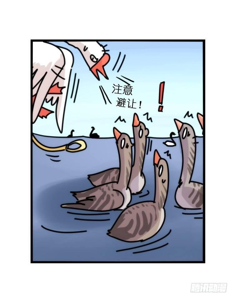 动协在行动25：向卡尔导师致敬！