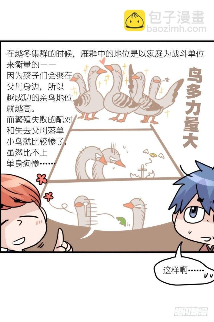 动协在行动25：向卡尔导师致敬！