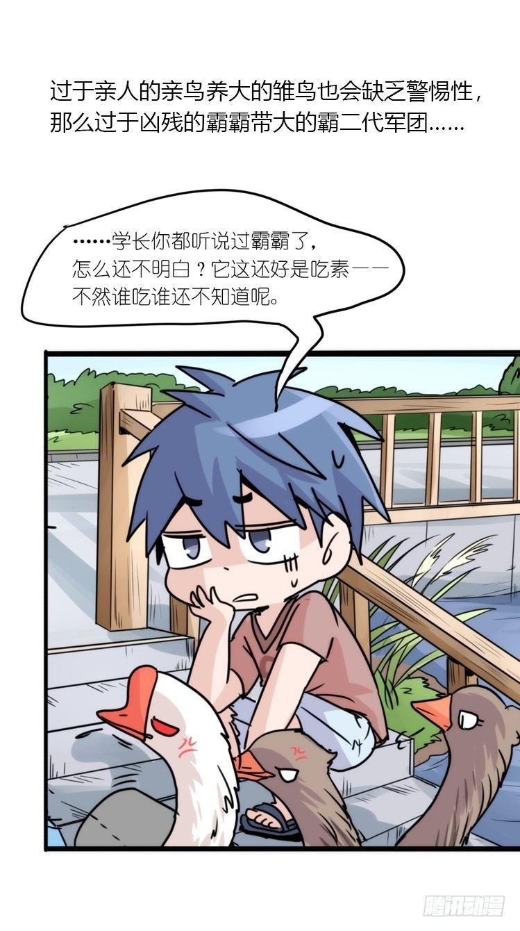 动协在行动25：向卡尔导师致敬！