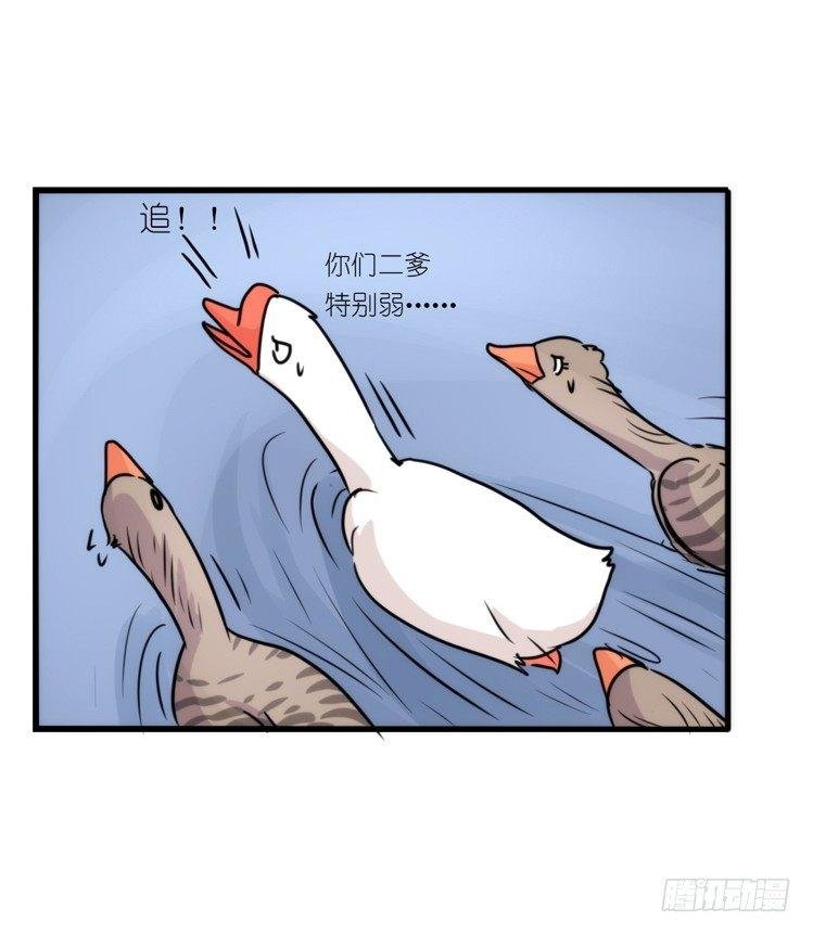 动协在行动25：向卡尔导师致敬！