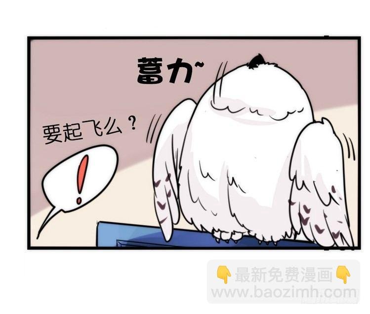 飞吧小少爷：走吧，一起回家