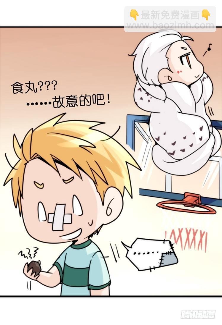 飞吧小少爷：走吧，一起回家