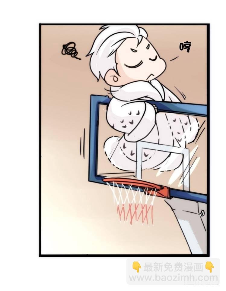 飞吧小少爷：走吧，一起回家