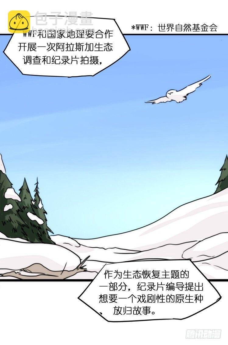 飞吧小少爷：走吧，一起回家