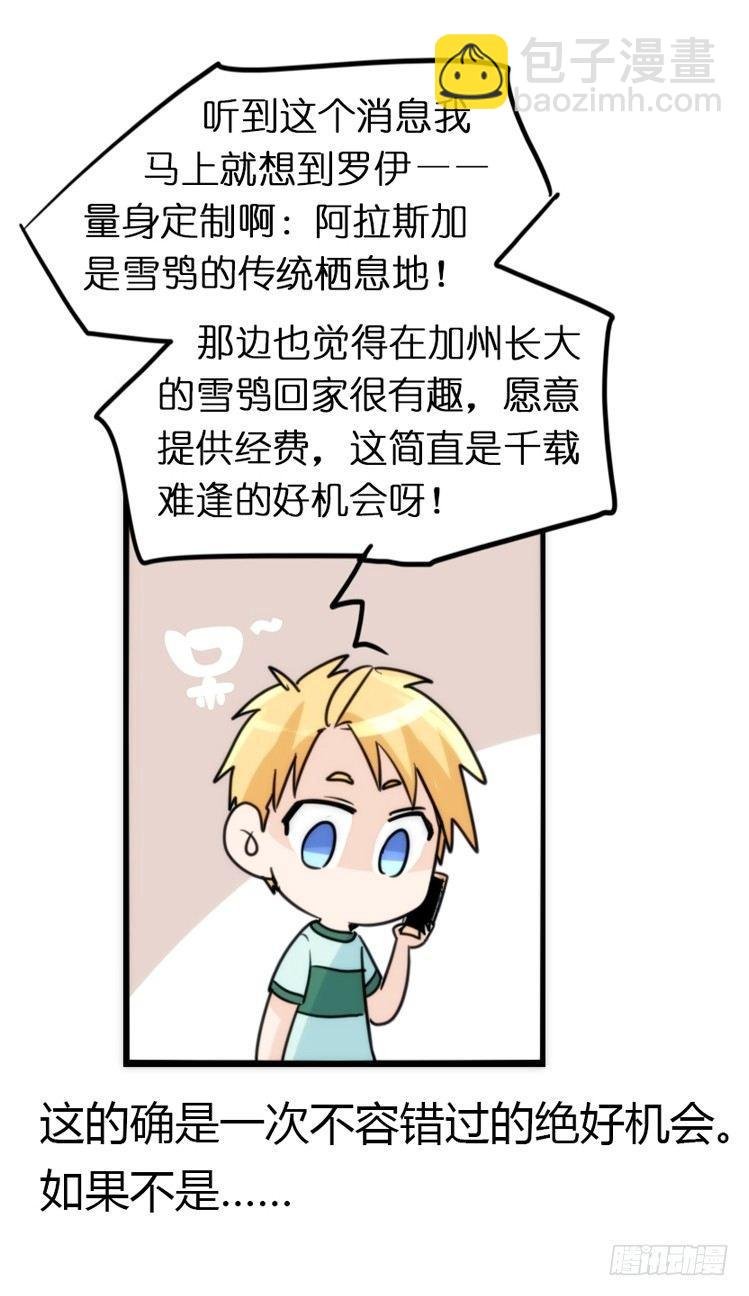 飞吧小少爷：走吧，一起回家