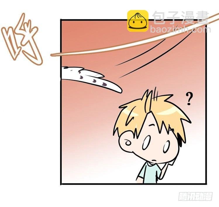 飞吧小少爷：走吧，一起回家