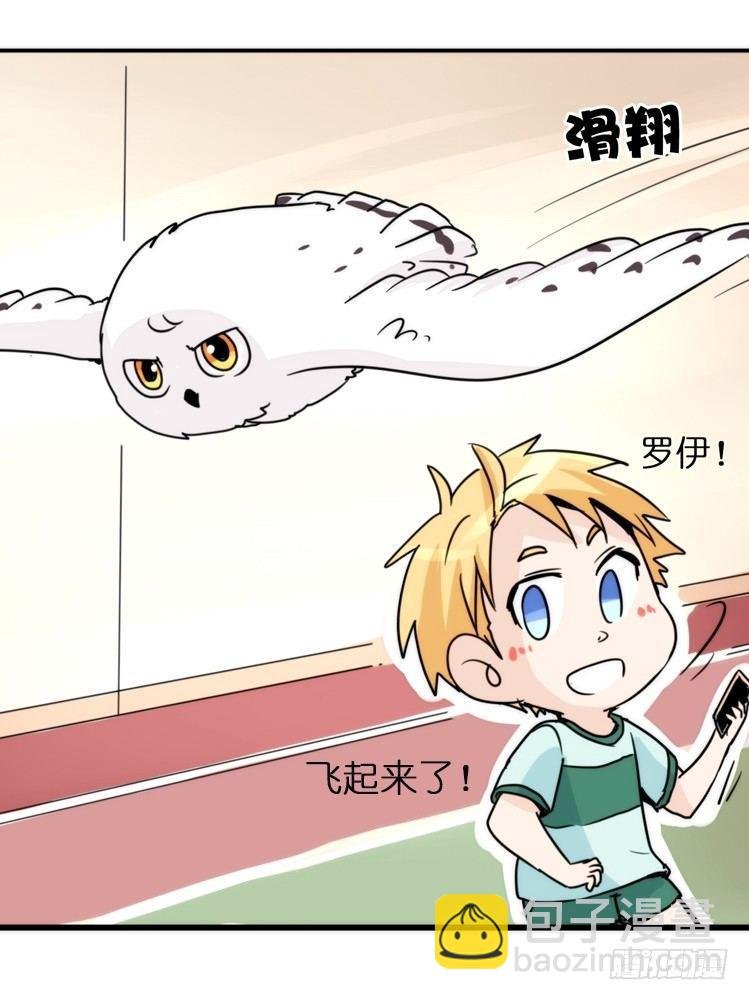 飞吧小少爷：走吧，一起回家