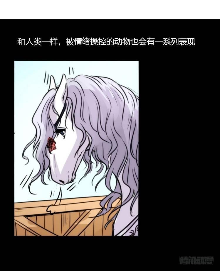 幕间剧场02-王子殿下的忧虑-下