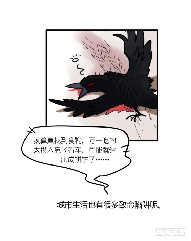 幕间剧场03-生存攻略·上