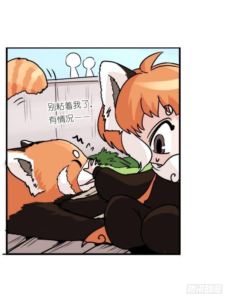 幕间剧场03-生存攻略·上