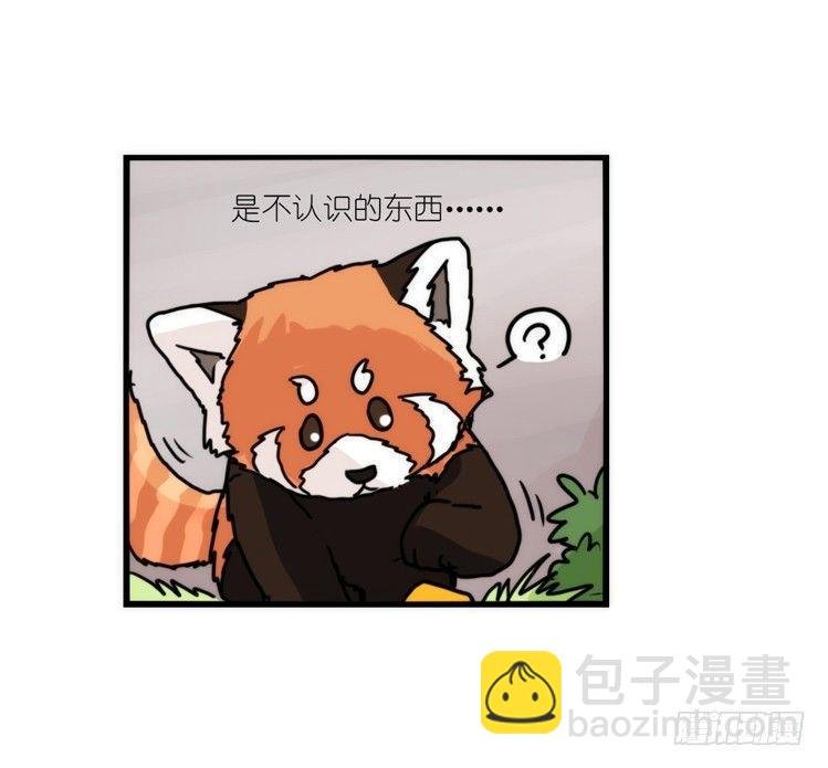幕间剧场03-生存攻略·上