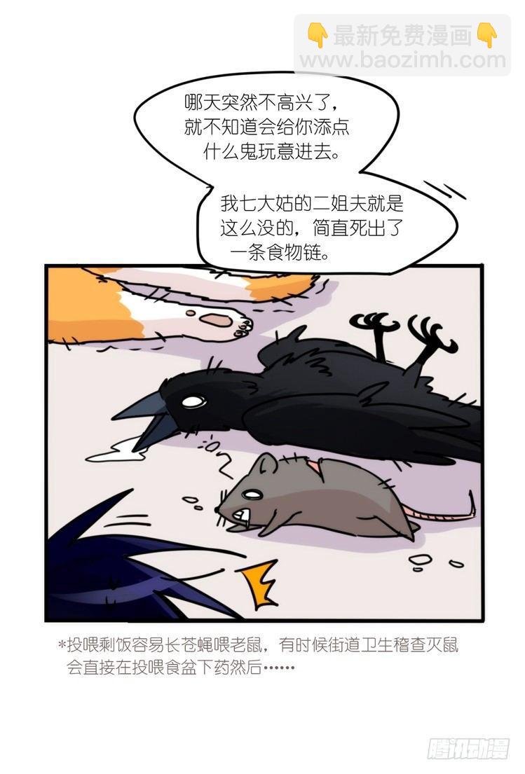幕间剧场03-生存攻略·中