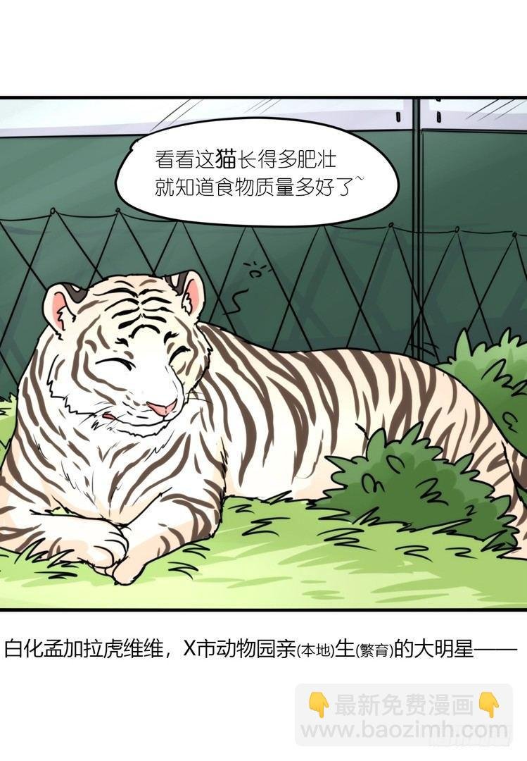 幕间剧场03-生存攻略·中