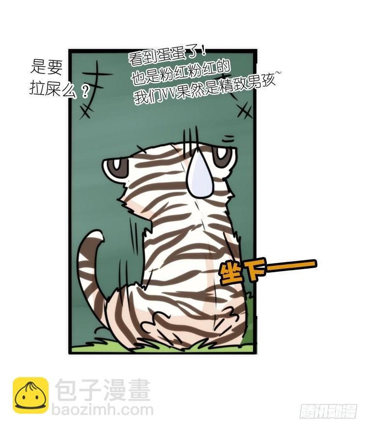 幕间剧场03-生存攻略·中