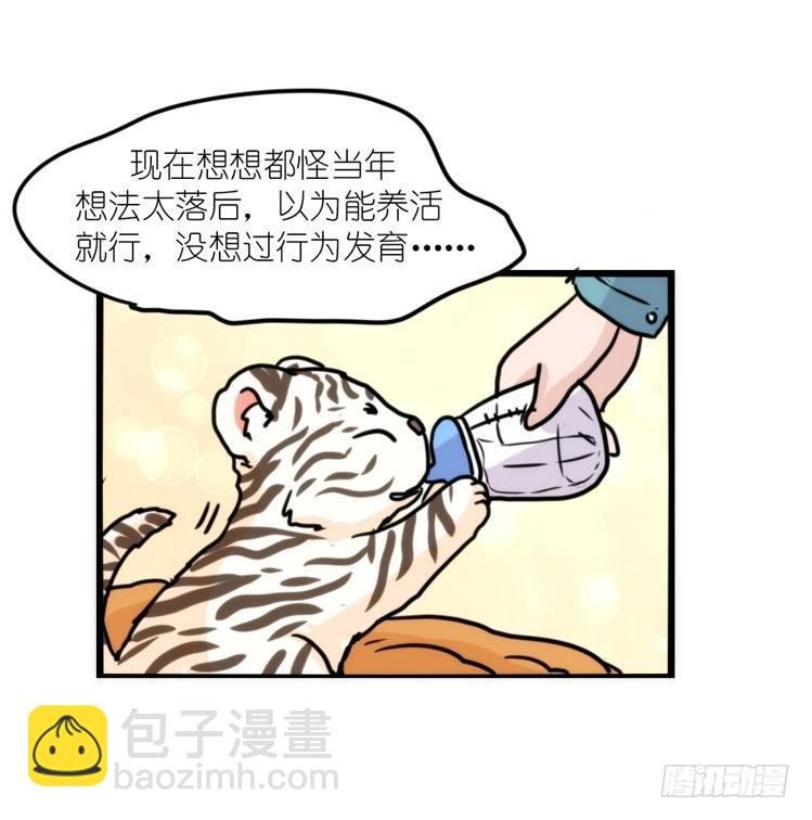 幕间剧场03-生存攻略·中