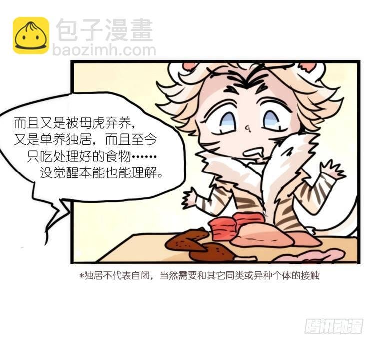 幕间剧场03-生存攻略·中