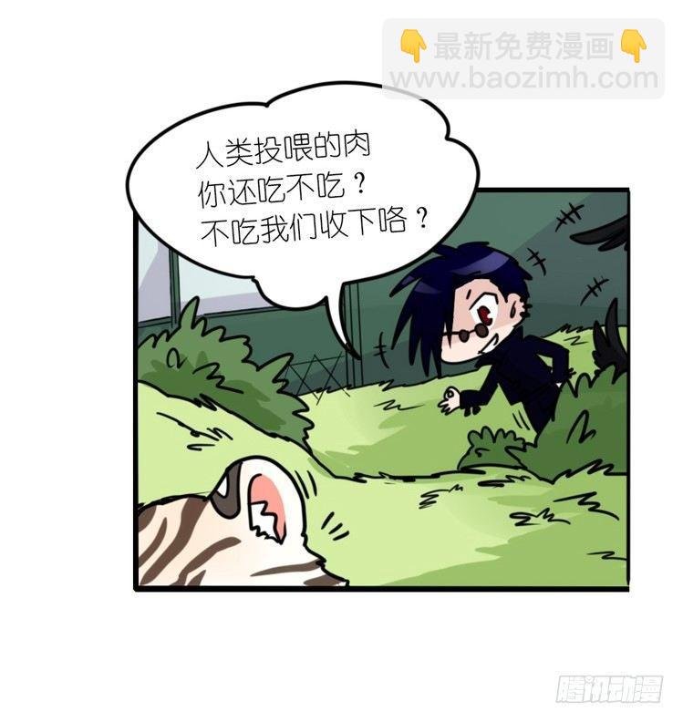幕间剧场03-生存攻略·下