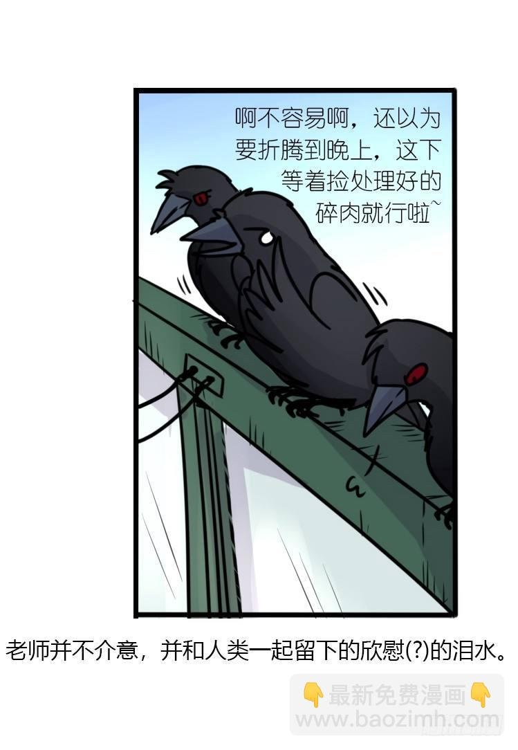 幕间剧场03-生存攻略·下