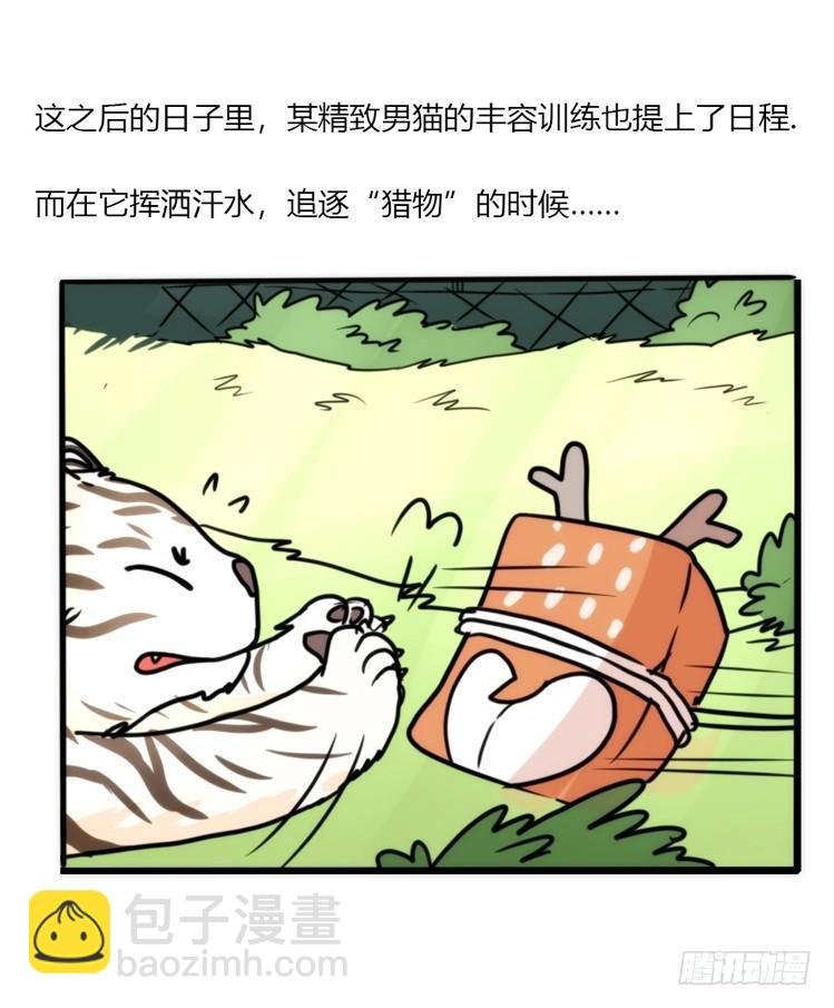 幕间剧场03-生存攻略·下