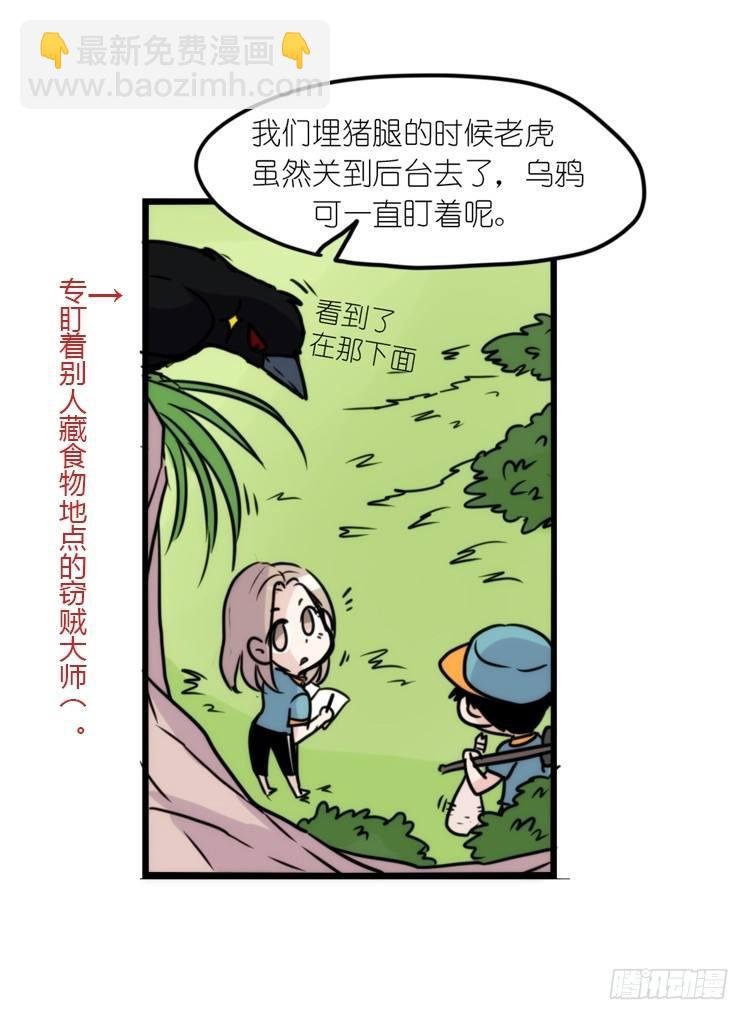 幕间剧场03-生存攻略·下