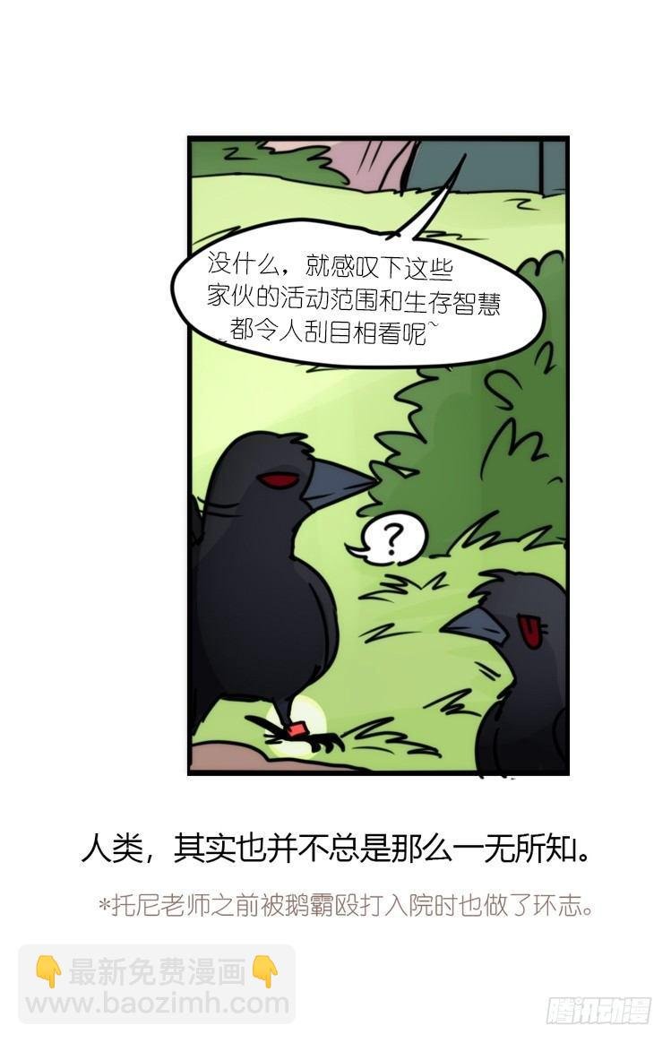 幕间剧场03-生存攻略·下
