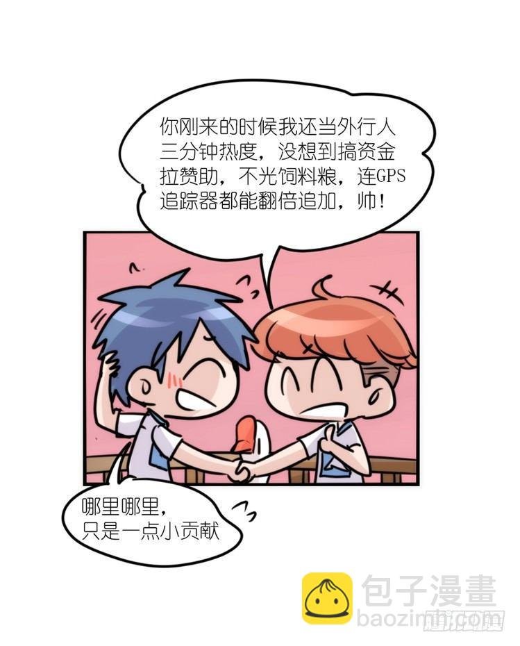 幕间剧场03-生存攻略·下