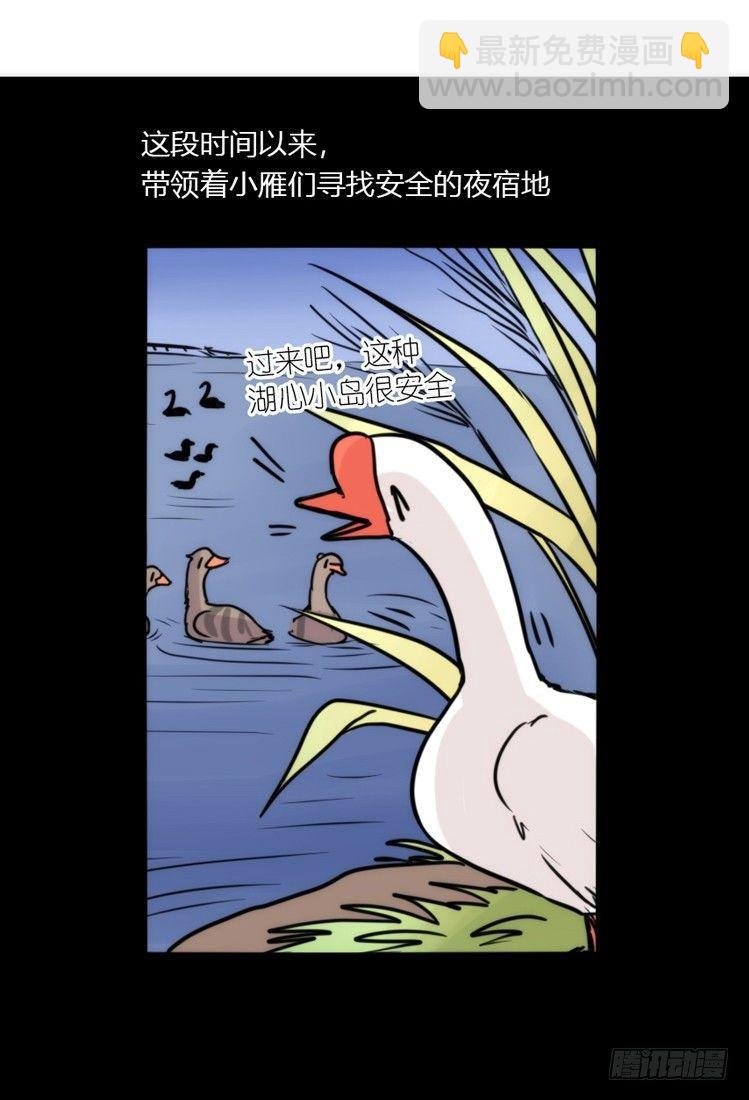 幕间剧场03-生存攻略·下