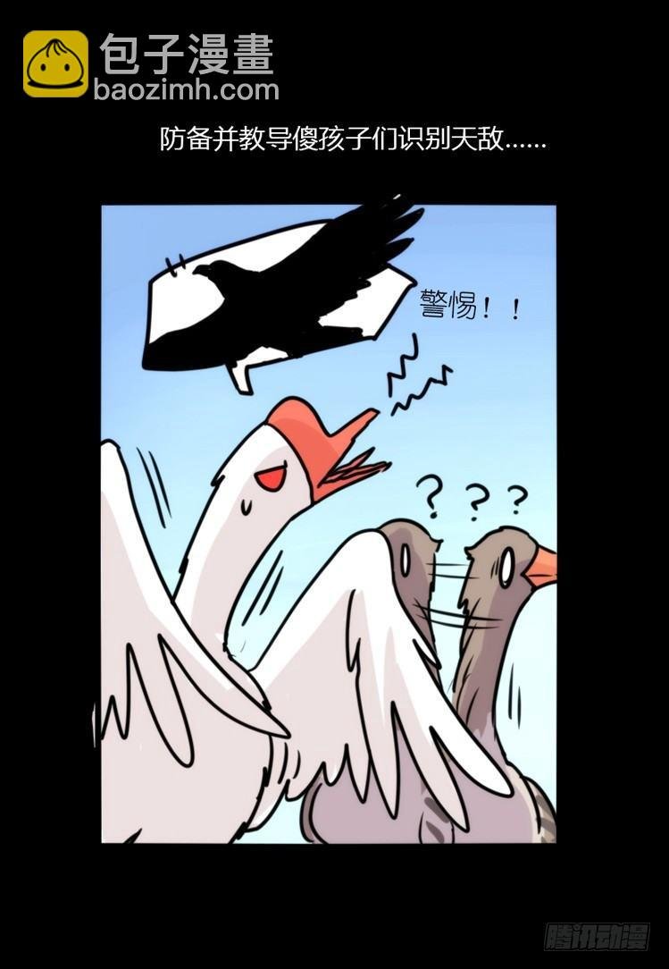 幕间剧场03-生存攻略·下