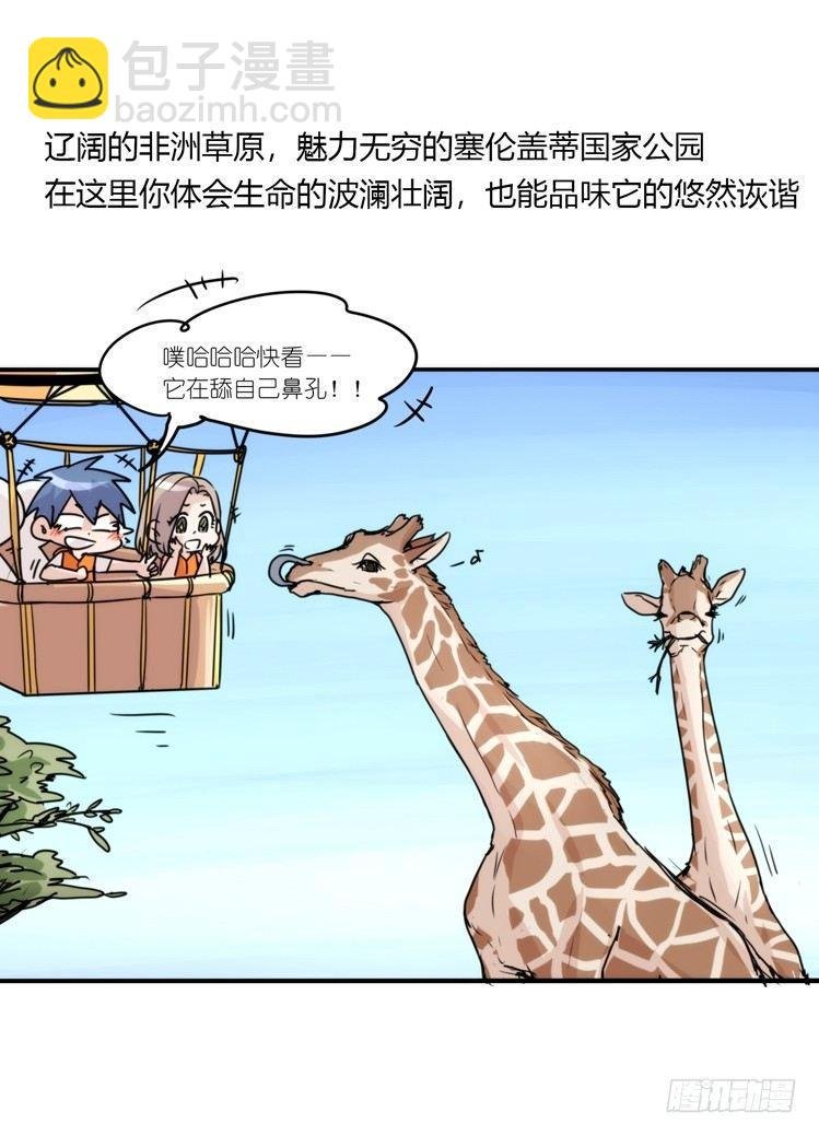 分离+旅行=成长是主旋律
