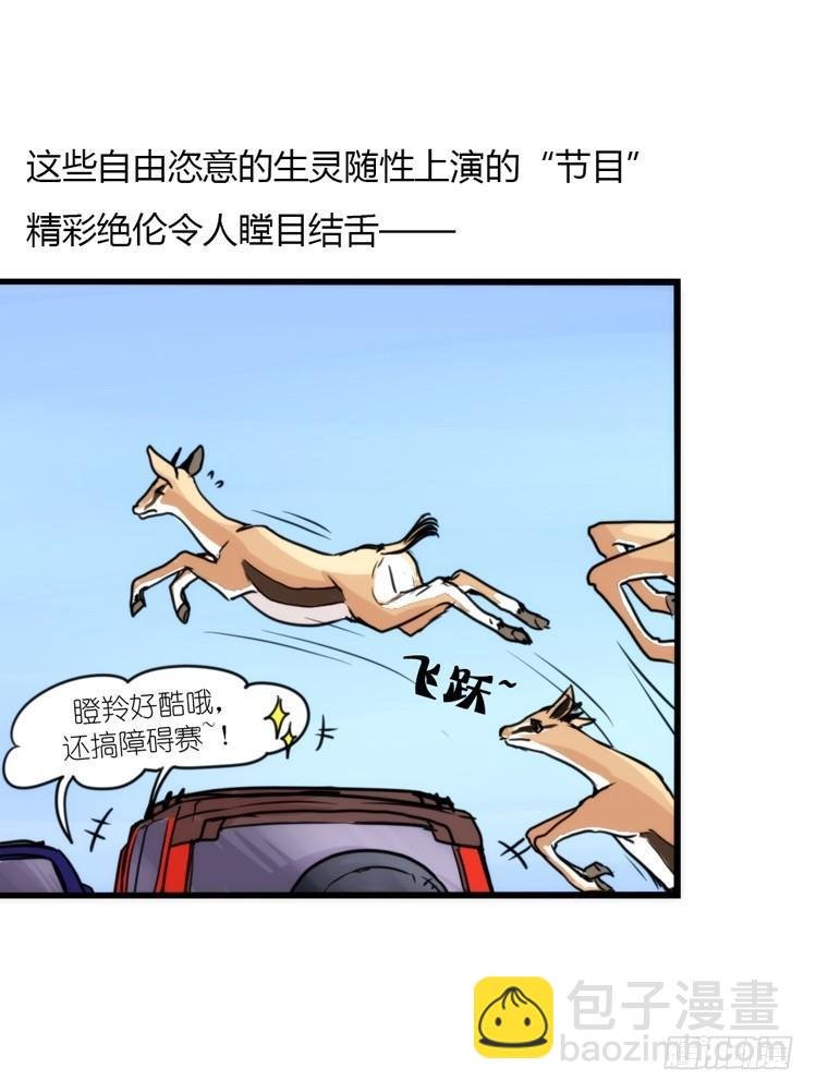 分离+旅行=成长是主旋律